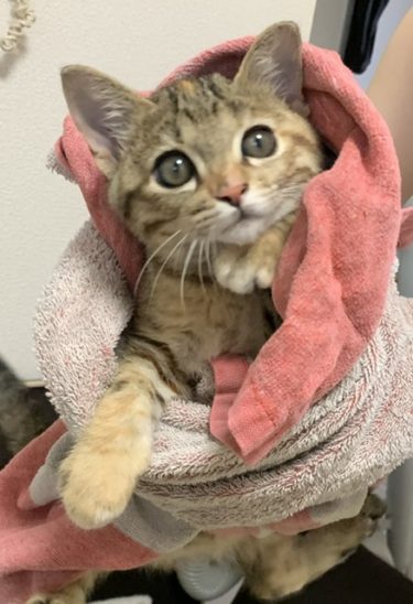 我が家のわがまま娘❤️